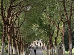 -合肥野生动物园