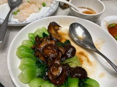 -新吉士·上海菜(浦东LCM置汇旭辉店)