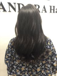 -东方麒麟·潘多拉SALON