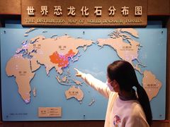 -自贡恐龙博物馆