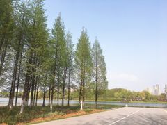 -尚贤河湿地