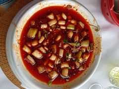 -樽宴酒楼·地道川菜·品质聚会·生日宴请