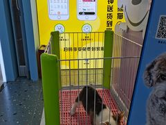 -龟与熊猫宠物公园(南坪店)