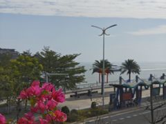-横琴客运码头