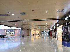 -谢列梅捷沃国际机场
