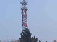 -羊亭河湿地公园