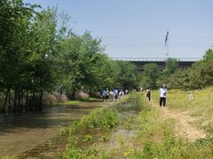 -永定河休闲森林公园