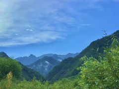 -朱雀国家森林公园