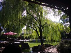 -颐和宾馆宴会厅