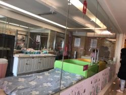 -大美臻喜母婴(重庆创始店)