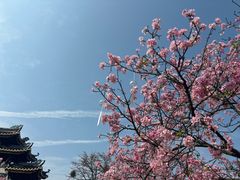 -宝墨园景区