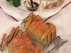 -帐篷客·溪龙茶谷度假酒店