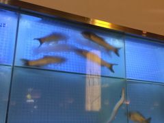 -顺峰顺水顺德菜(龙华店)