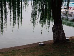-紫霞湖公园