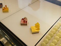 -BLACKSWAN黑天鹅(环球店)