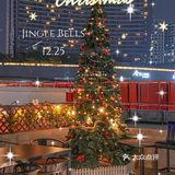 东莞……预测圣诞🎄爆火拍照点！！！
