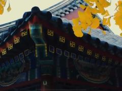 -回龙观体育文化公园