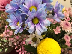 -ChaKo Flora ·茶子花艺 (市北店)