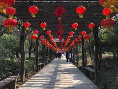 -白马涧龙池景区