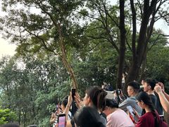 -火炉山森林公园