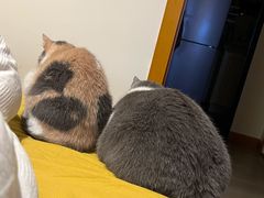 -鸡毛店·川菜(双楠店)