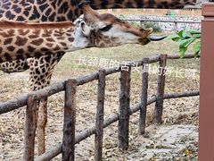 -北京野生动物园