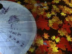 -钱江新城灯光秀