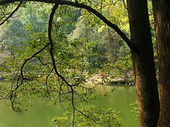 -铁山坪森林公园