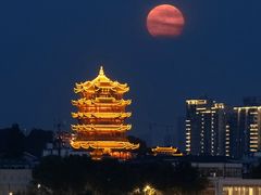 -黄鹤楼公园(黄鹤楼)