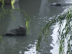 -七桥瓮公园