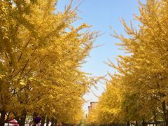 -辽宁大学(崇山校区)