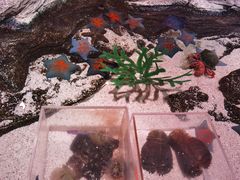 -沈阳海洋探索中心