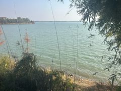 -山湖温泉