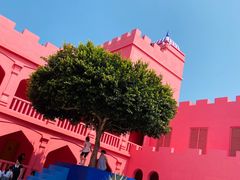 -漳州滨海火山岛自然生态风景区