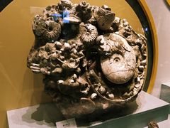 -湖南省地质博物馆