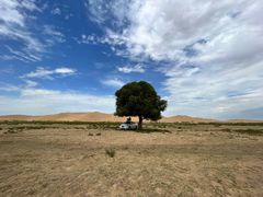 -亿利库布其七星湖沙漠生态旅游区
