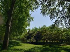 -河南省黄河迎宾馆