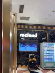 -meland亲子乐园•派对•研学(宁波华润万象城店)