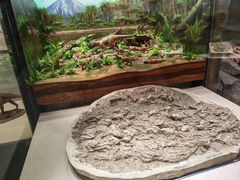 -辽宁古生物博物馆
