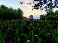 -长春公园(普阳街道)