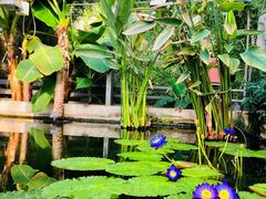 -国家植物园南园