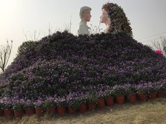 -紫颐香薰山谷景区