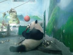 -无锡动物园·太湖欢乐园