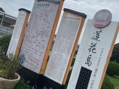 -莲花岛景区