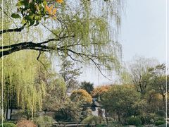 -秋霞圃
