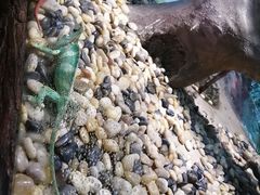 -辛玛王国游乐园