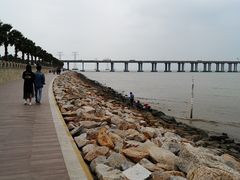 -宝安西湾红树林湿地公园