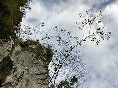-福建天门山