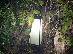 -思念果岭悦温泉