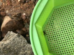 -东戴河风景区-止锚湾